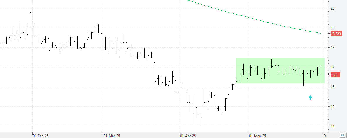 c300525puig