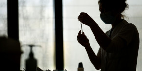 coronavirus france la has favorable a la vaccination par les dentistes et les veterinaires coronavirus france la has favorable a la vaccination par les dentistes et les veterinaires