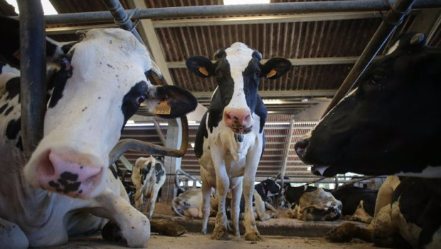 ep archivo   bbva trabaja con el 40 de las cooperativas agrarias en espana