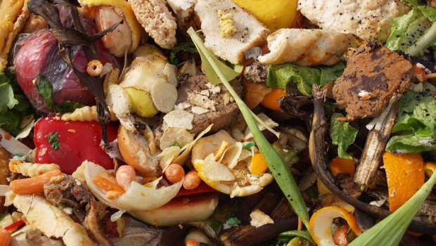 ep archivo   desperdicio de alimentos comida en la basura