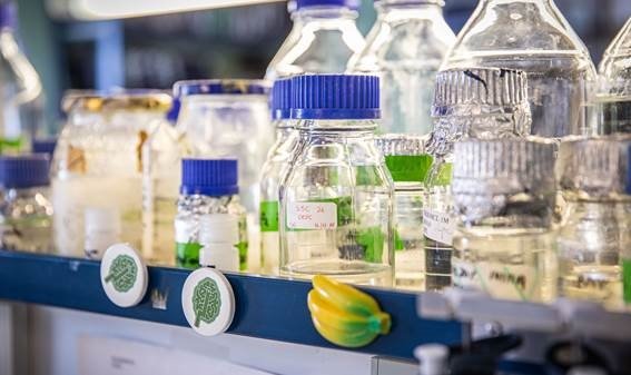 ep el repositorio cientifico del csic crea una coleccion con las investigaciones sobre los ep el repositorio cientifico del csic crea una coleccion con las investigaciones sobre los