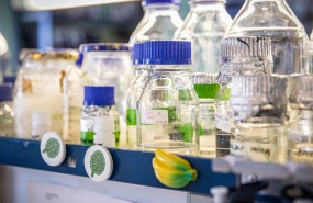 ep el repositorio cientifico del csic crea una coleccion con las investigaciones sobre los