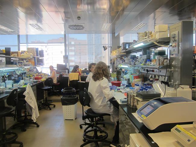 Investigadoras en un laboratorio del CNIC | EUROPA PRESS - Archivo ep investigadorasun laboratoriocnic