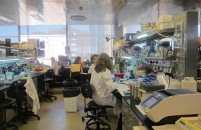ep investigadorasun laboratoriocnic