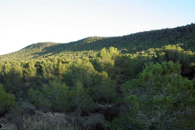 ep monte valenciano