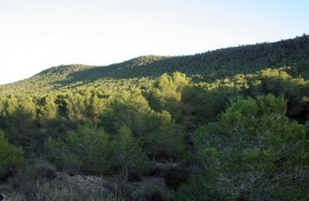 ep monte valenciano