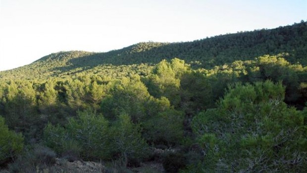 ep monte valenciano
