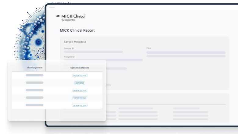 group 2803 14 20260409103818 