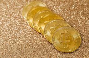 pexels pexels photo 5980213 pexels pexels photo 5980213