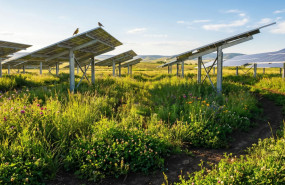 20260422 aleasoft fotovoltaica regeneracion suelo nuevo paradigma transicion energetica 