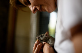 andreu y elena studi56fotografia 20221103123930 