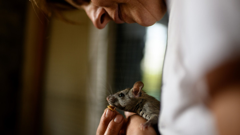 andreu y elena studi56fotografia 20221103123930 