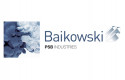 baikowski logo baikowski logo