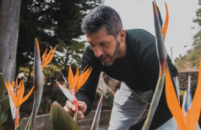 copia de dsc00166 copia de dsc00166