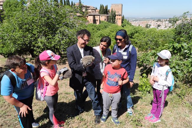Alhambra Colonia De Erizos | JUNTA DE ANDALUCÍA ep alhambra coloniaerizos