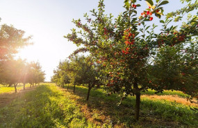 ep archivo   explotacion agraria