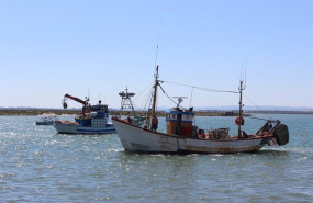 ep archivo   flota de arrastre del caladero mediterraneo andaluz