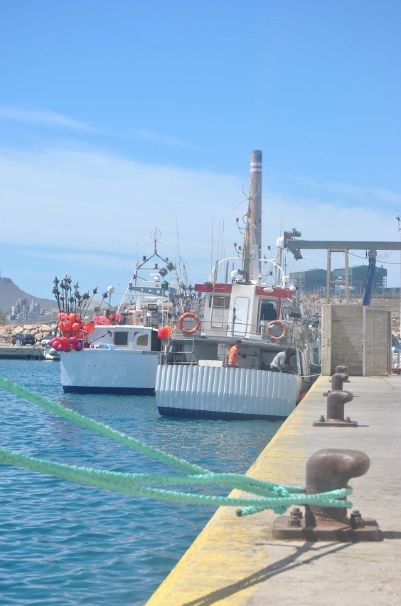 ep grupoalmeria l comunicacionalmeriadgob notafotos pesca palangre