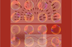 ep imagen ilustrativala investigacionla ugrdel iaa-csic disenadalos autores