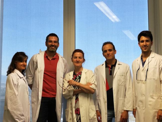 Investigadores españoles relacionan exposición químicos con síndrome metabólico | UNIVERSIDAD DE GRANADA ep investigadores espanoles relacionan exposicion quimicossindrome metabolico