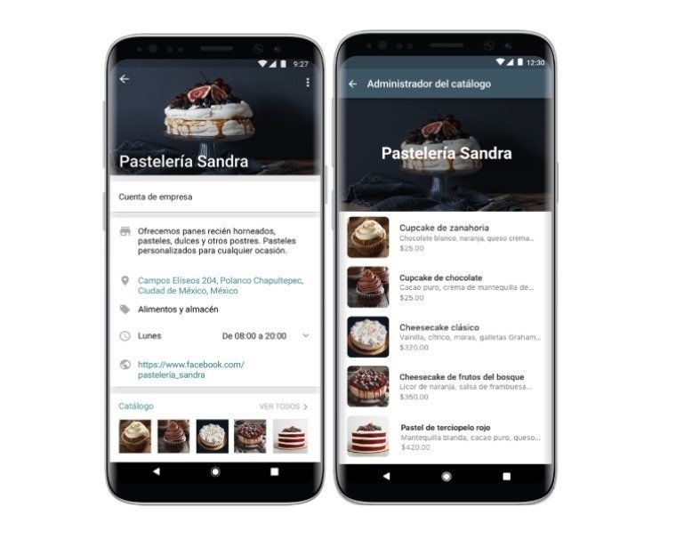 ep la nueva funcion de catalogo para empresas de whatsapp