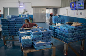 ep lonja de bonanza en sanlucar en plena crisis del coronavirus