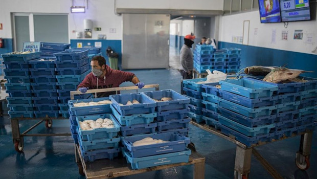 ep lonja de bonanza en sanlucar en plena crisis del coronavirus