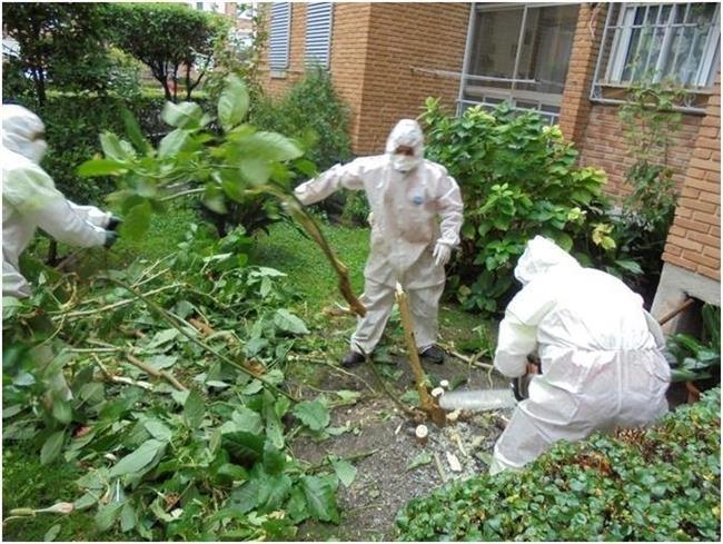 Retirada de las plantas de burundanga | POLICÍA MUNICIPAL DE MADRID ep retiradalas plantasburundanga