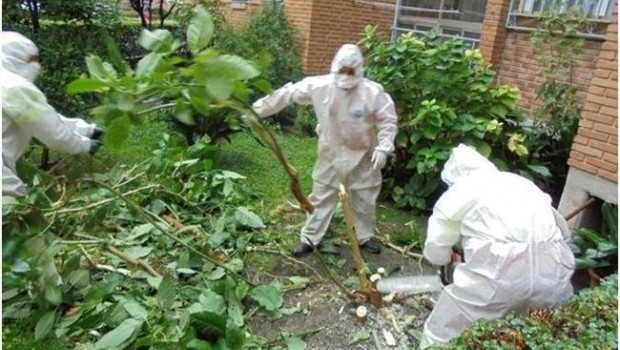 ep retiradalas plantasburundanga