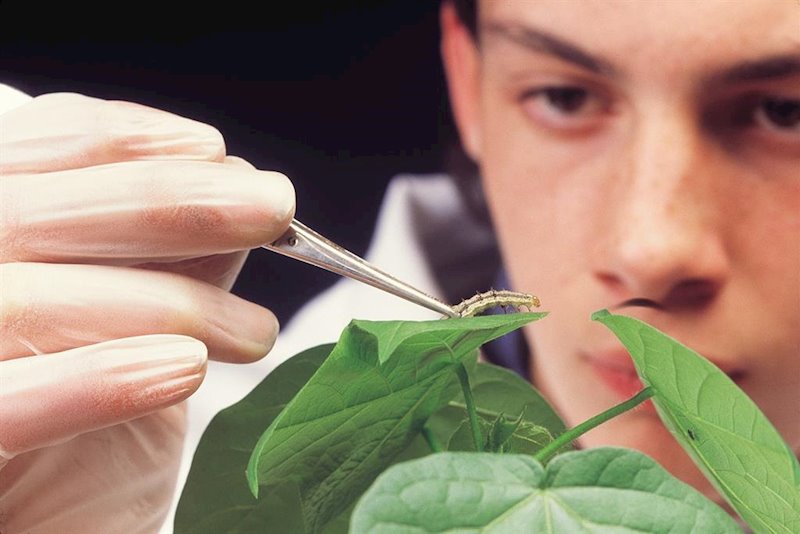 ep syngenta destinara 2000 millones a la sostenibilidad y la innovacion en agricultura