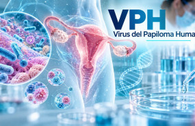 vph investigation vph investigation