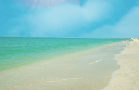 1569840448 captura de pantalla 2019 09 30 a las 124047 copia 1569840448 captura de pantalla 2019 09 30 a las 124047 copia