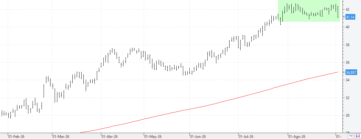 c020926endesa