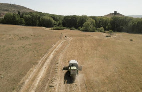 ep archivo   campo de cultivo en atienza