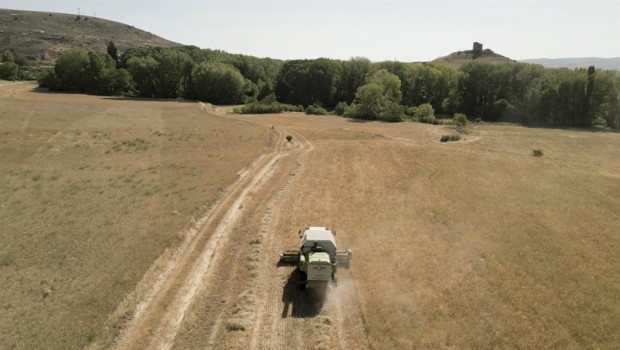 ep archivo   campo de cultivo en atienza