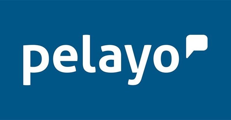 ep archivo   logo de la aseguradora pelayo
