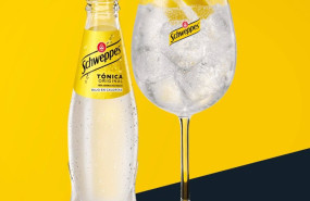 ep botella de tonica schweppes