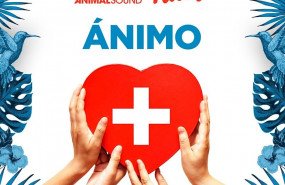 ep cartel de apoyo a los profesionales sanitarios elaborado por el festival animal sound