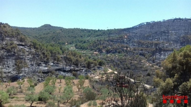 ep incendiola ribera debre tarragona