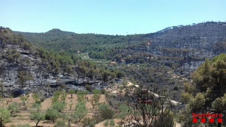 Incendio de la Ribera dEbre Tarragona. | BOMBERS DE LA GENERALITAT ep incendiola ribera debre tarragona