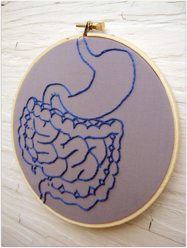 Intestino ep intestino