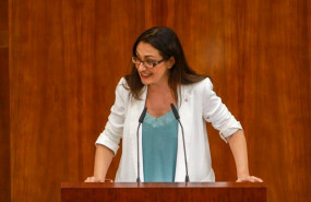 ep la diputada de unidas podemos izquierda unida madrid en pie en la asamblea de madrid sol sanchez