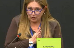 ep la eurodiputada del pp esther herranz en la comision de agricultura del parlamento europeo