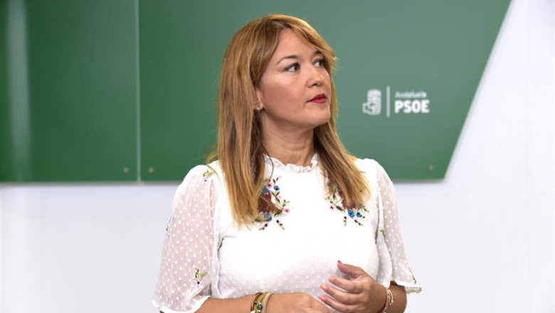La secretaria general del PSOE de Sevilla y parlamentaria autonómica, Verónica Pérez. | PSOE-A ep la secretaria general del psoe de sevilla y parlamentaria autonomica veronica perez