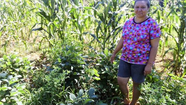 ep mujer rural paraguay