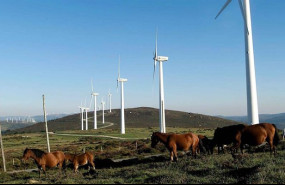 ep parque eolico 20251212120004