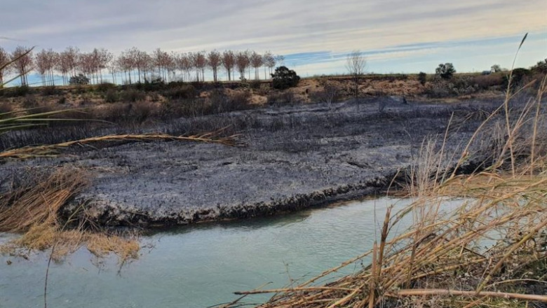 Zona quemada en el margen del río | AYUNTAMIENT DE RIBA-ROJA ep zona quemada en el margen del rio