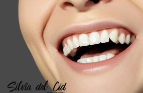 silvia del cid silvia del cid