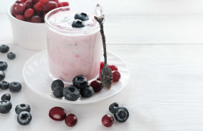 1238387 prebi ticos y probi ticos 1238387 prebi ticos y probi ticos