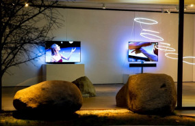 1581614113 fotophillips